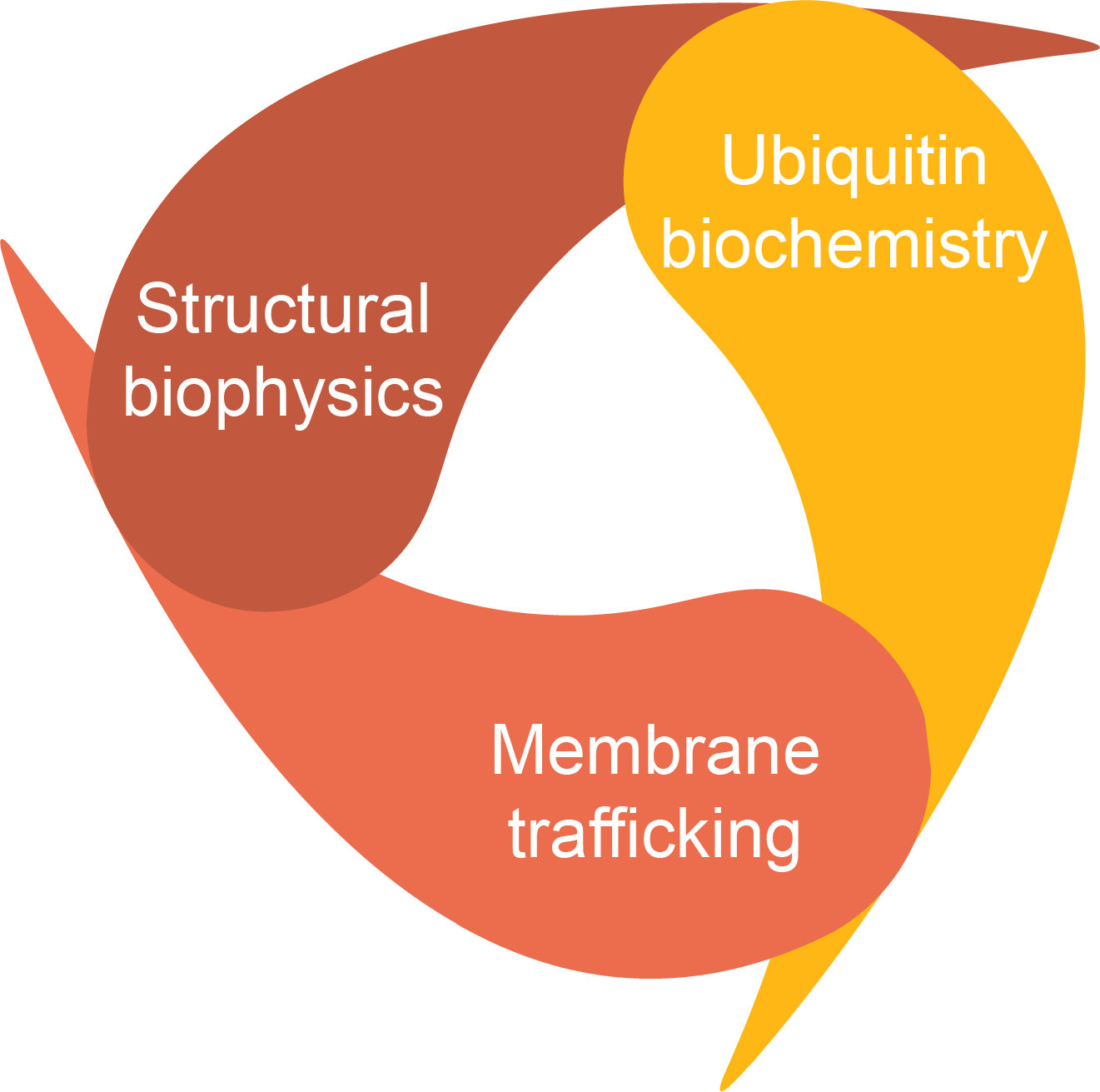 Synergy diagram